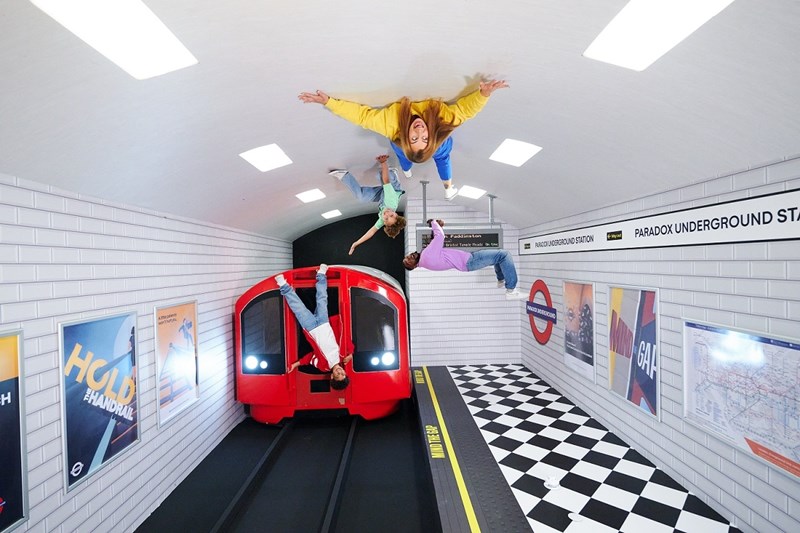 Paradox_05_Tube Family