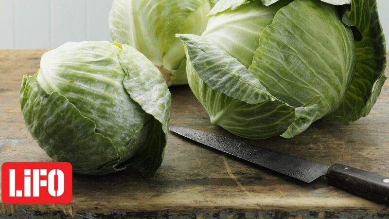 Γιατί τρεντάρει το λάχανο φέτος;