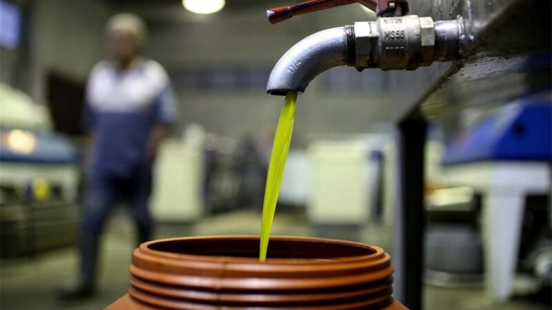 Ελαιόλαδο σε τροχιά ανατροπών: Οι τάσεις στο διεθνές εμπόριο για το λάδι και τις επιτραπέζιες ελιές