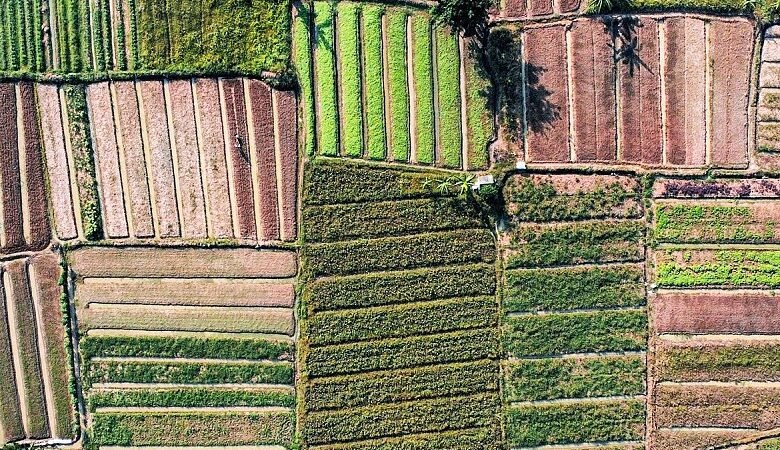 Ανοίγει η διαδικασία διορθώσεων monitoring και αποστολής φωτογραφιών μέσω Agrisnap – Για μία εβδομάδα