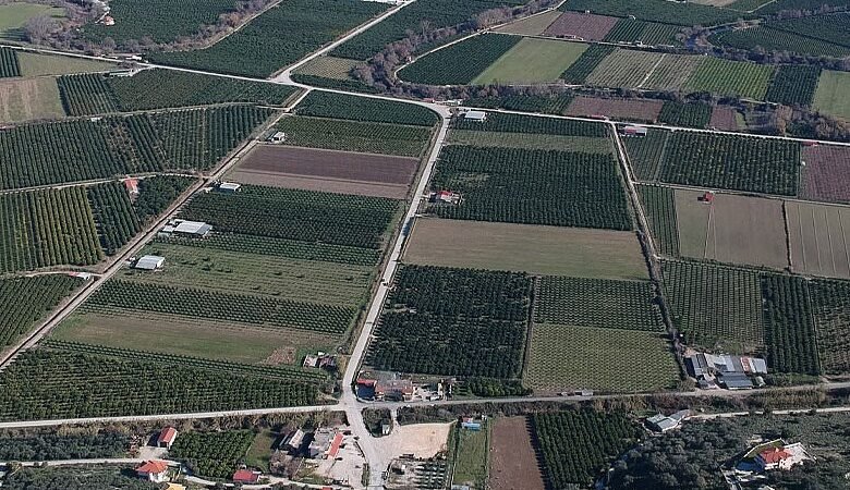 Removal of Field Coverage in EAE 2025: What is provided for the submission and control of requests