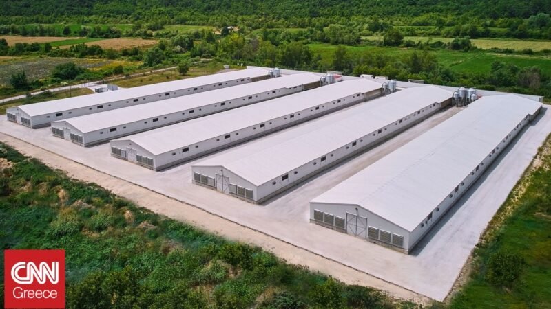 Νητσιάκος: Εξαγορά έως το 70% της εταιρείας από ουκρανικό όμιλο
