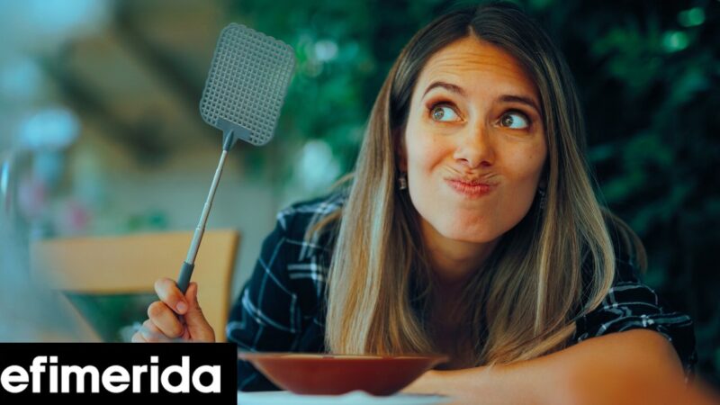 Οι μύγες «θα μένουν μακριά από το σπίτι» με αυτό το λαχανικό στο παράθυρο, λένε οι ειδικοί σε παράσιτα
