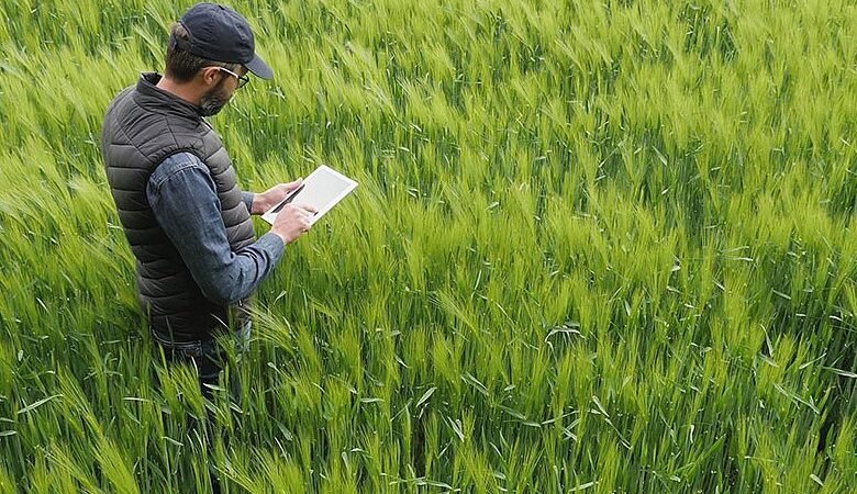 Σεπτέμβριο πάει η πρόσκληση για Σχέδια Βελτίωσης, οι πληρωμές του Μαΐου, οι αιτήσεις για Οικολογικά το 2025 έφτασαν τα 796,9 εκ. ευρώ