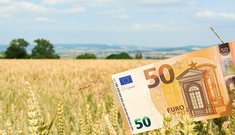 Η ΑΑΔΕ απέστειλε προς πληρωμή τις αγροτικές ενισχύσεις του 2025 – Αναλυτικά τα ποσά των παρεμβάσεων του Πυλώνα Ι