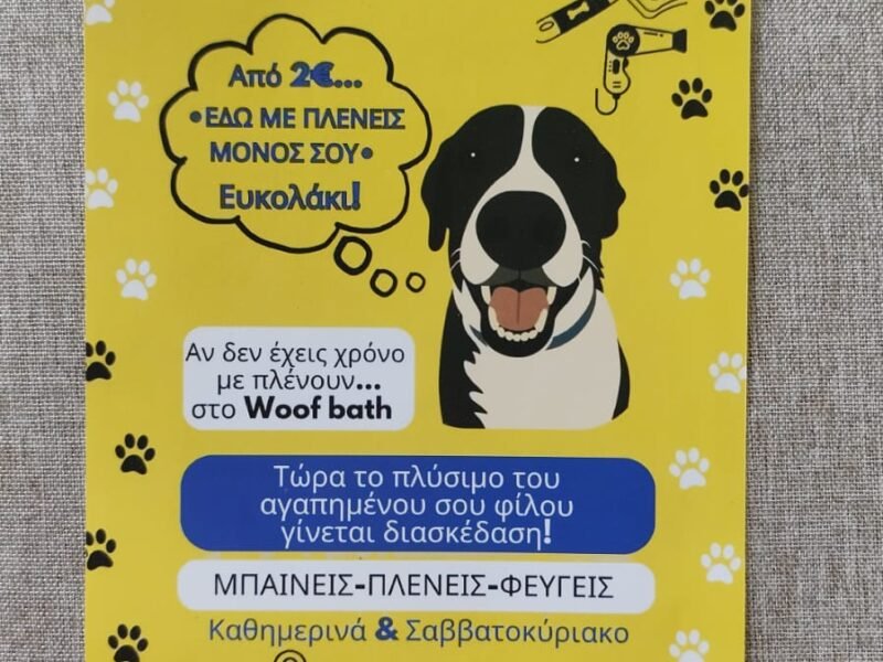 Self service dog Wash