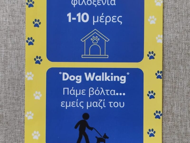Self service dog Wash