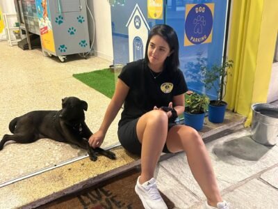 Self service dog wash