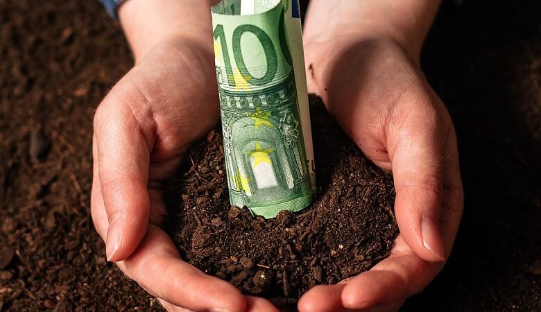 Insurance contributions to the ELGA were announced for 2026