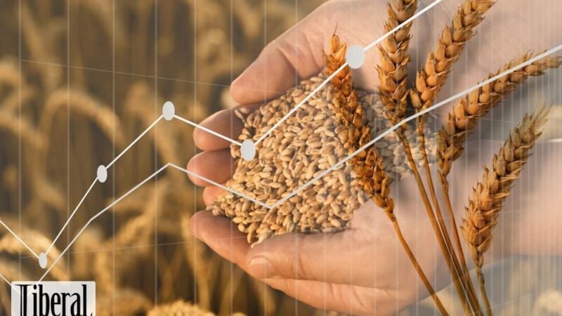 Agroinflation: O κρυφός πληθωρισμός που τινάζει την μπάνκα στον αέρα