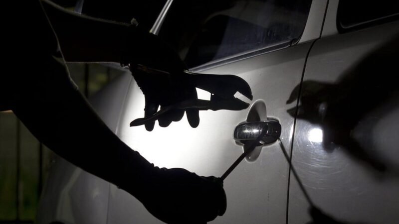 Ποια αυτοκίνητα δεν πλησιάζουν οι κλέφτες