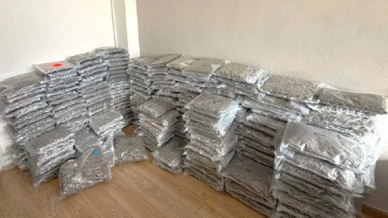 300 κιλά κάνναβης κρυμμένα σε φορτηγό – Συνελήφθη 36χρονος οδηγός