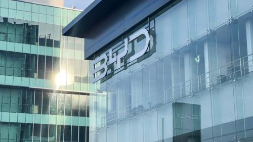 BYD 2