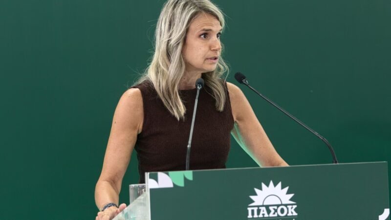 Μιλένα Αποστολάκη: Τι δεν μας είπε ο κ. Πιερρακάκης για το ιδιωτικό χρέος